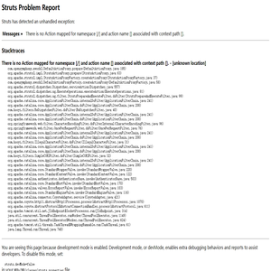 Struts Problem Report