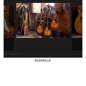 Gibson Brands吉他/贝斯/效果器/音箱